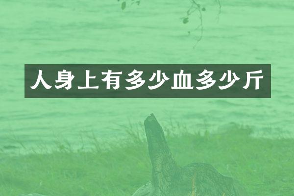 人身上有多少血多少斤