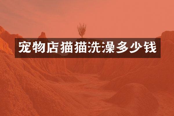 宠物店猫猫洗澡多少钱