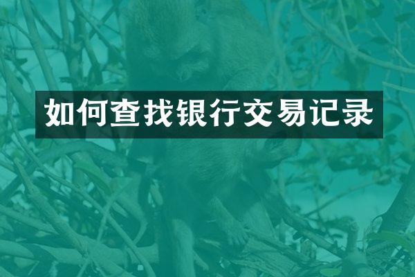 如何查找银行交易记录