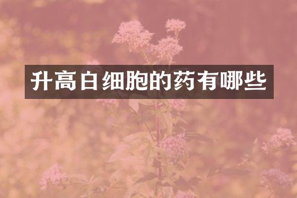 升高白细胞的药有哪些
