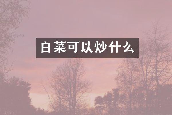 白菜可以炒什么
