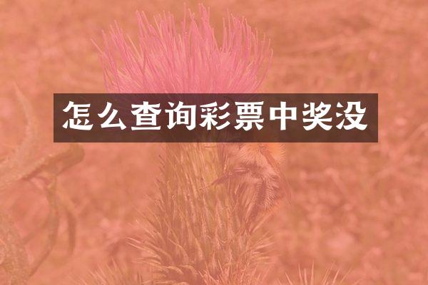 怎么查询彩票中奖没