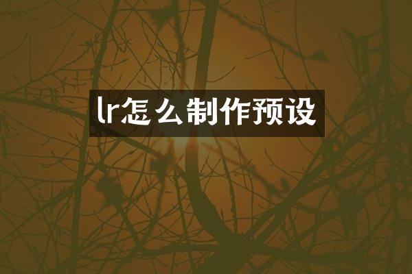 lr怎么制作预设