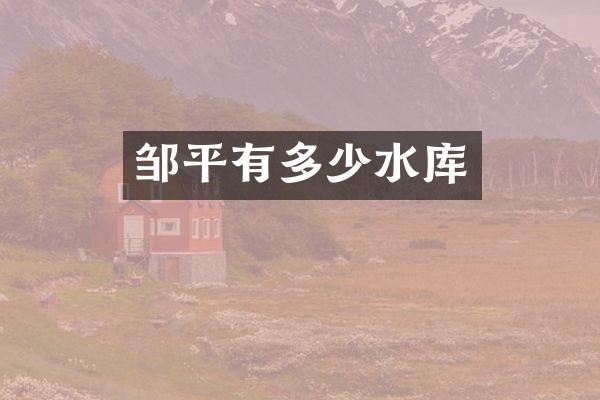 邹平有多少水库