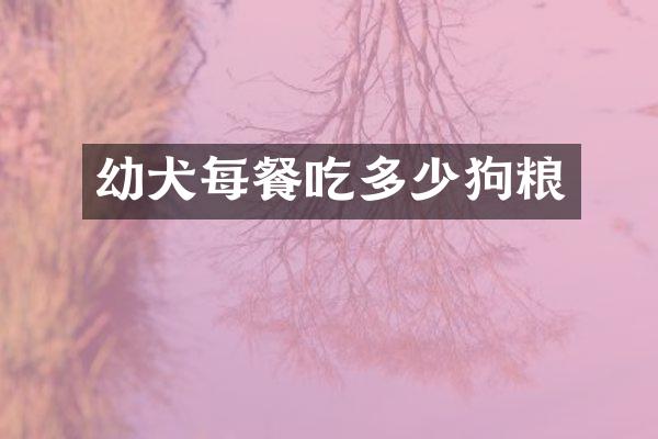 幼犬每餐吃多少狗粮