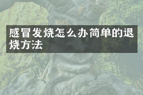 感冒发烧怎么办简单的退烧方法