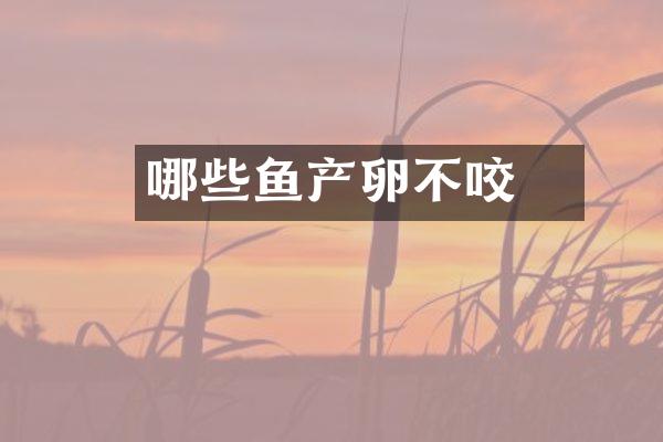 哪些鱼产卵不咬鈎