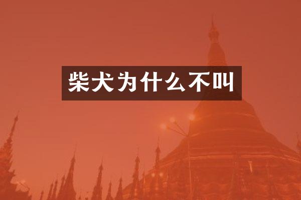 柴犬为什么不叫