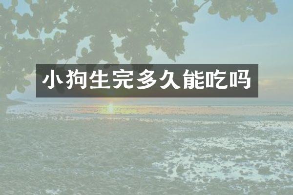 小狗生完多久能吃吗