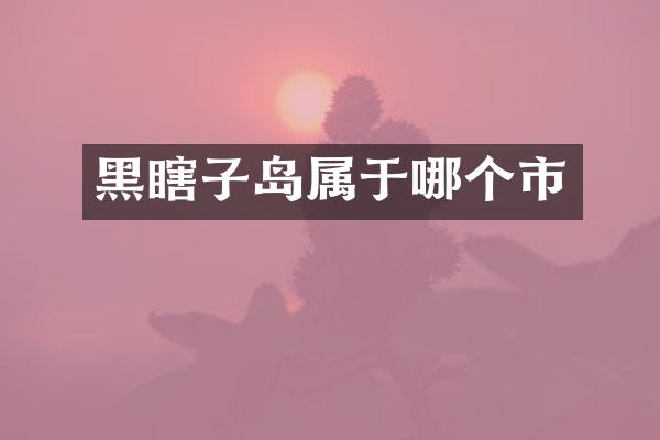 黑瞎子岛属于哪个市