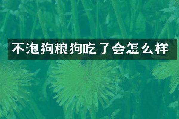 不泡狗吃了会怎么样