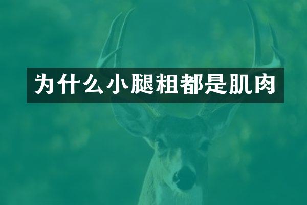 为什么小腿粗都是肌肉