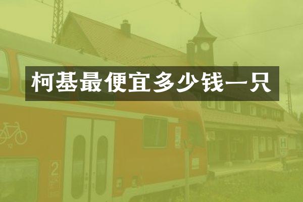 柯基最便宜多少钱一只