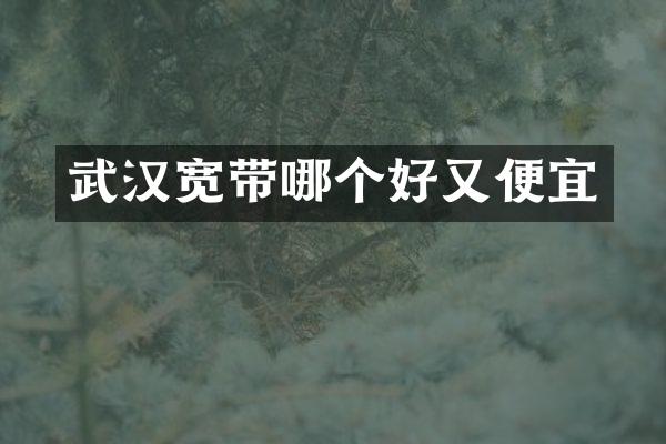 武汉宽带哪个好又便宜