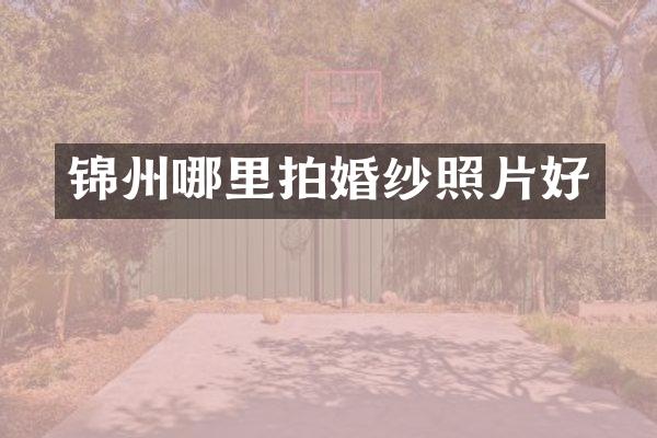 锦州哪里拍婚纱照片好