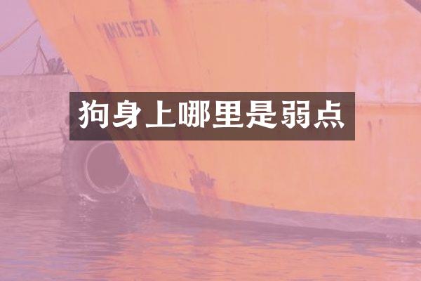 狗身上哪里是弱点