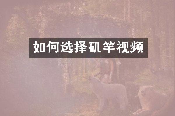 如何选择矶竿视频