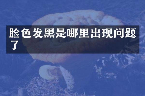 脸色发黑是哪里出现问题了