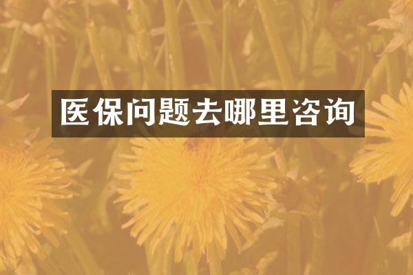医保问题去哪里咨询