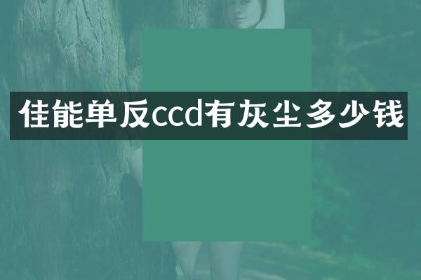 佳能单反ccd有灰尘多少钱