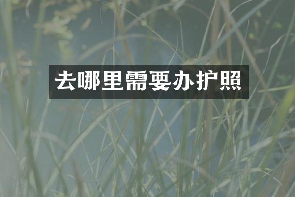 去哪里需要办护照