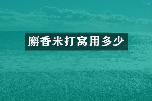 麝香米打窝用多少