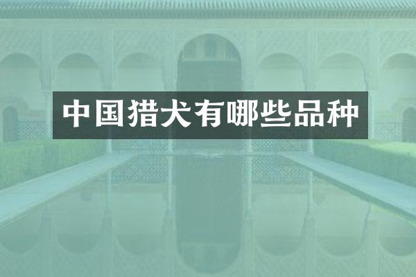 中国猎犬有哪些品种