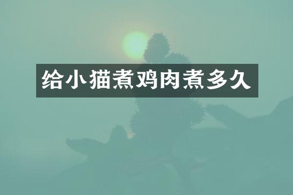 给小猫煮鸡肉煮多久