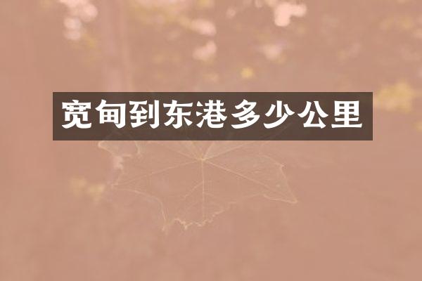 宽甸到东港多少公里