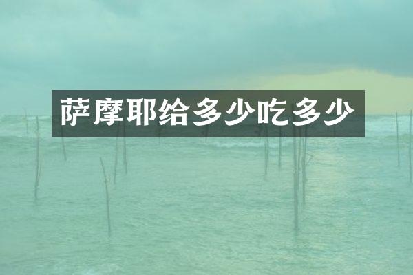 萨摩耶给多少吃多少