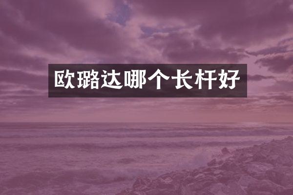 欧璐达哪个长杆好