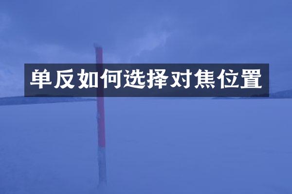 单反如何选择对焦位置