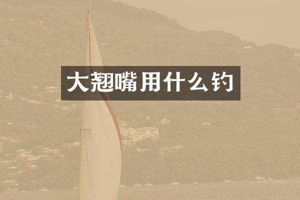 大翘嘴用什么钓
