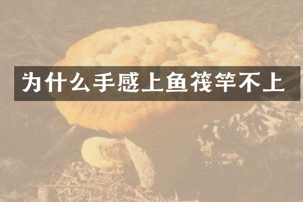 为什么手感上鱼筏竿不上