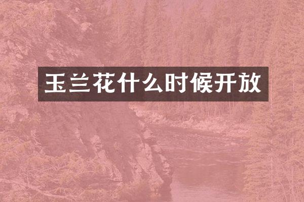 玉兰花什么时候开放