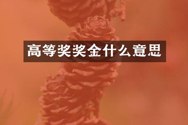 高等奖奖金什么意思