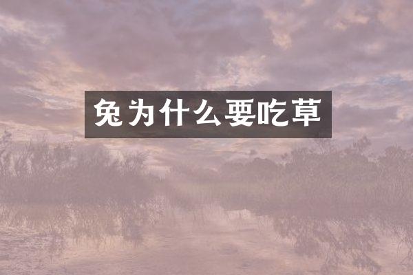 兔为什么要吃草