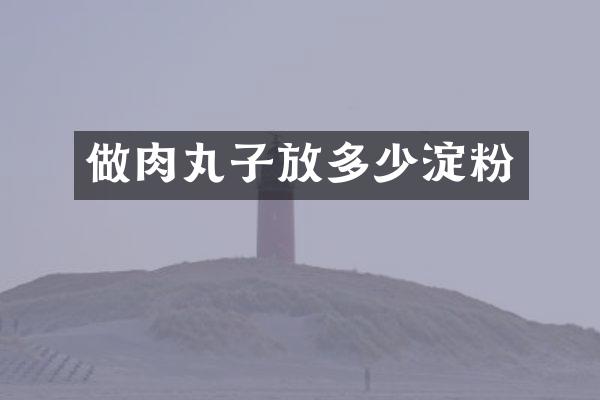 做肉丸子放多少淀粉