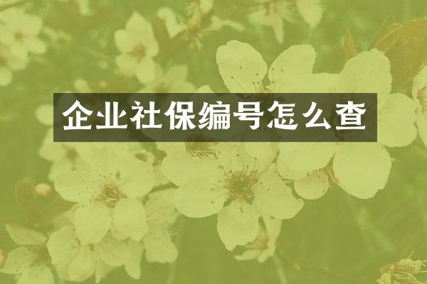 企业社保编号怎么查