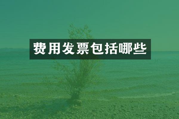 费用发票包括哪些