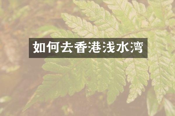 如何去香港浅水湾