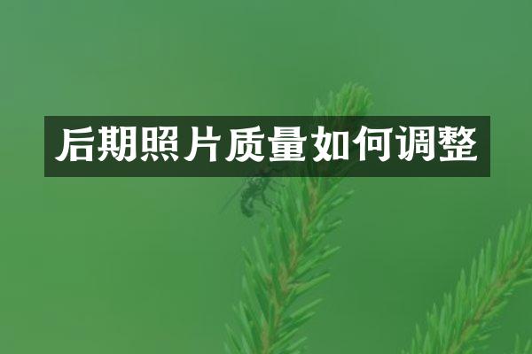 后期照片质量如何调整