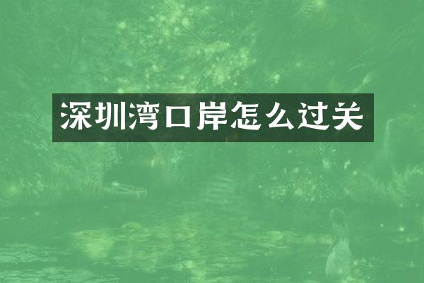深圳湾口岸怎么过关