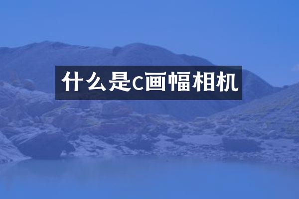 什么是c画幅相机