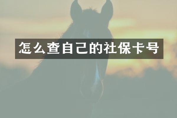 怎么查自己的社保卡号