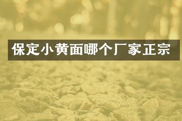 保定小黄面哪个厂家正宗