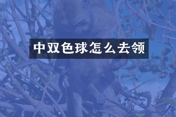 中双色球怎么去领