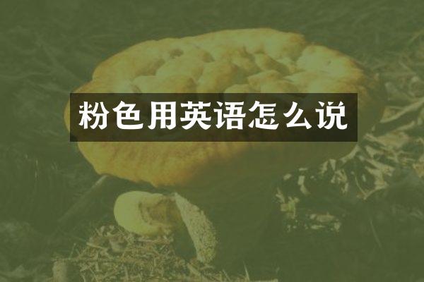 粉色用英语怎么说