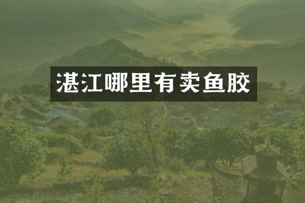 湛江哪里有卖鱼胶