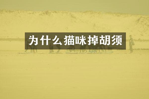 为什么猫咪掉胡须